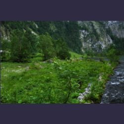 2007-05_12Koenigssee (007).JPG